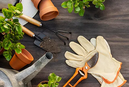 Garden tools and accessories